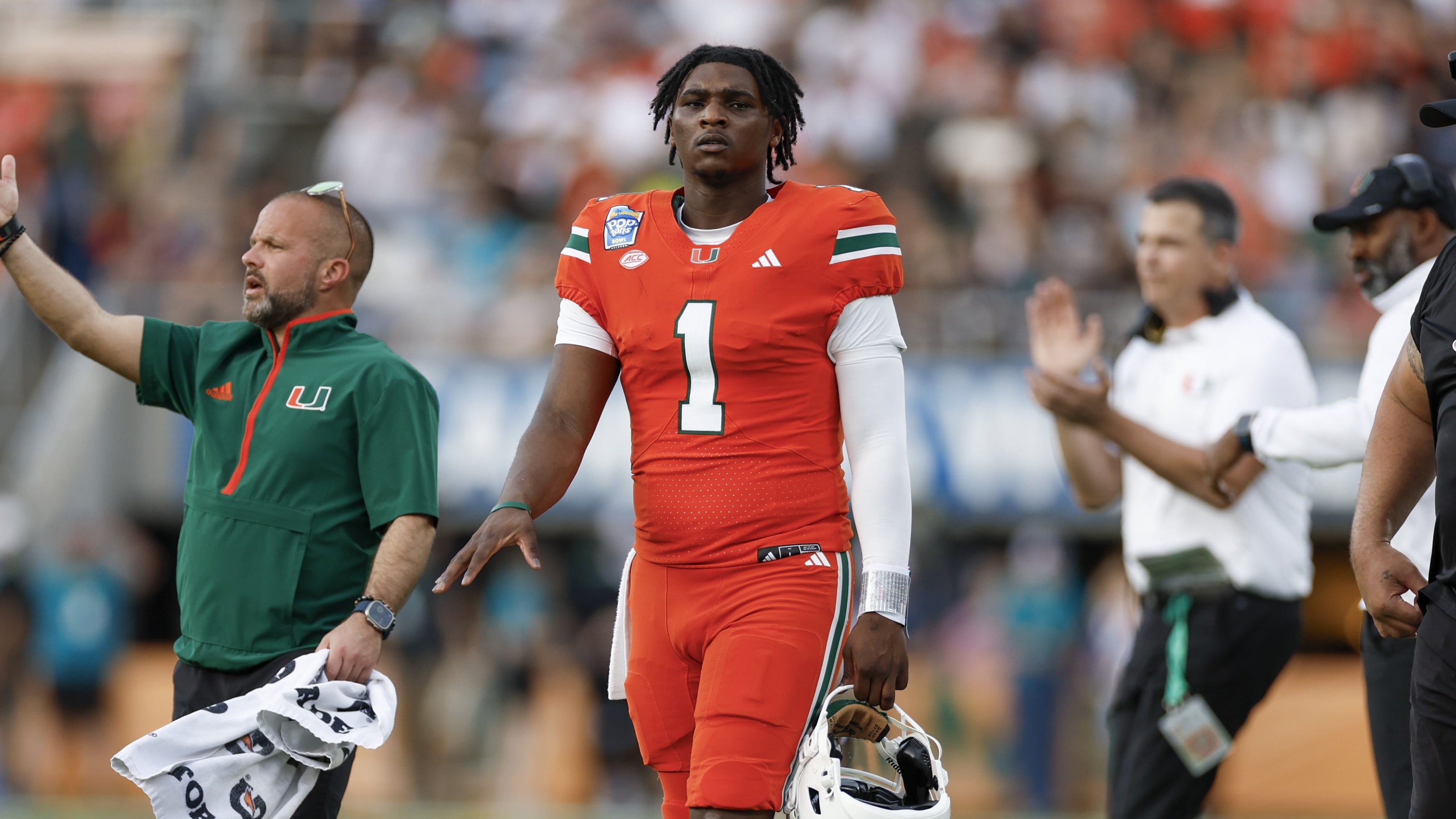 生態長廊 生態長廊