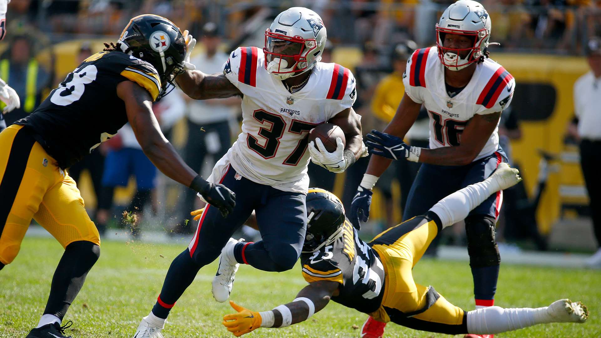 展现了惊人 展现了惊人